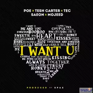 Poe - I Want You (ft. Tesh Carter x Saeon x Tec(SDC) x Mojeed)